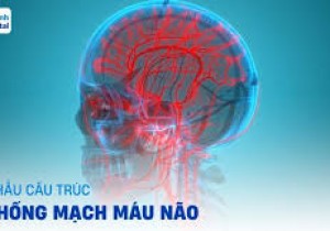 Thông báo chào giá các mặt hàng thiết bị y tế sử dụng trong can thiệp mạch não năm 2025-2026 tại  Bệnh viện Đa khoa khu vực miền núi phía Bắc Quảng Nam